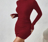 Turtleneck Slim Fit Knitted Elegant Dress - ClovyRE