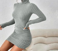 Turtleneck Slim Fit Knitted Elegant Dress - ClovyRE