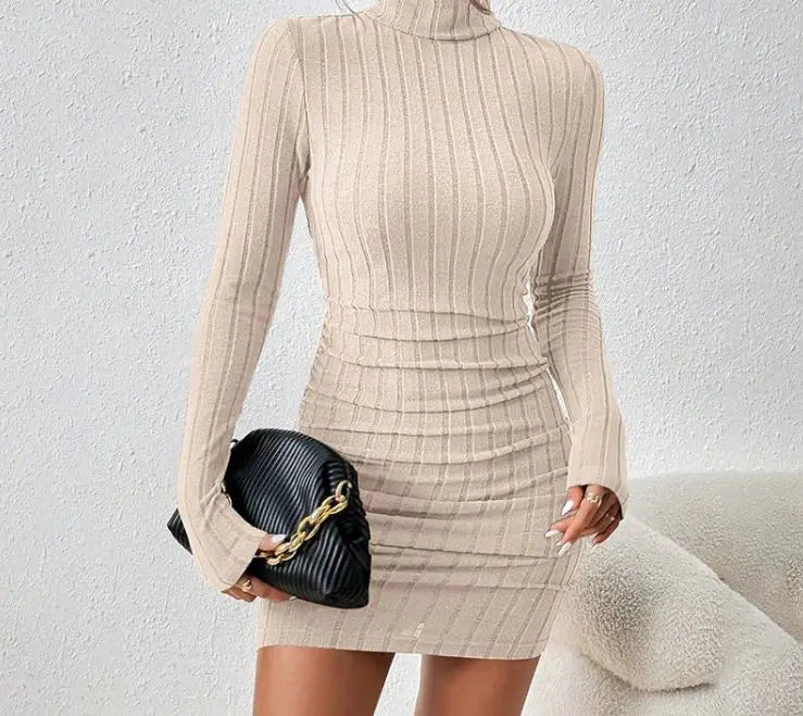 Turtleneck Slim Fit Knitted Elegant Dress - ClovyRE