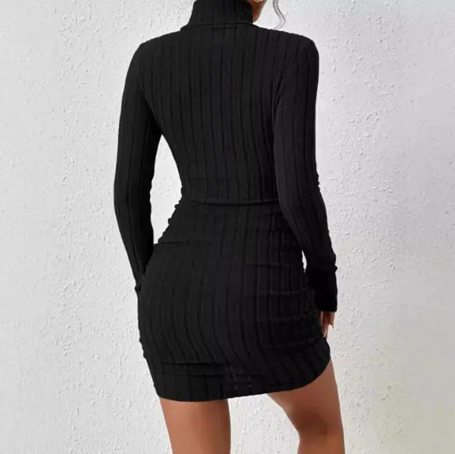Turtleneck Slim Fit Knitted Elegant Dress - ClovyRE