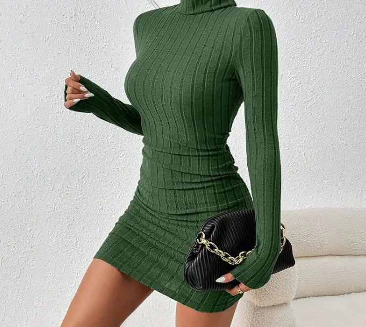 Turtleneck Slim Fit Knitted Elegant Dress - ClovyRE